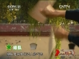 谁是终极英雄 《谁是终极英雄》 20121202 《沙场砺兵展辉煌》系列片之“特种兵”之战