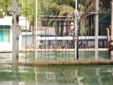 军事纪实 《军事纪实》 20180419 利刃争锋——侦察兵集训纪实②