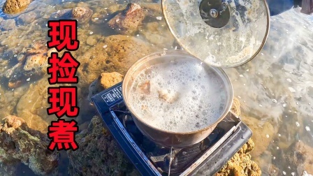 赶海一口锅，海鲜全靠捉，想吃什么抓什么，现抓现煮太鲜美