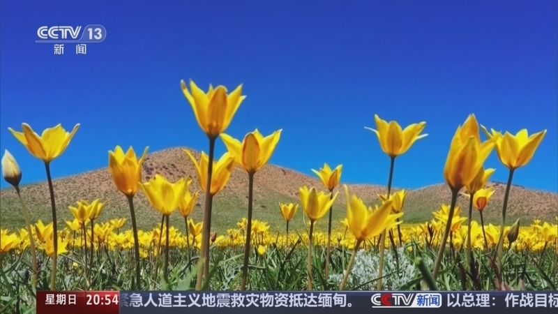 东方时空 《东方时空》 20250420