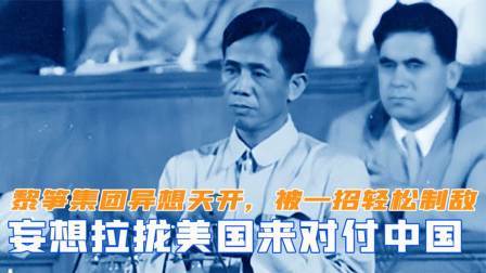 华夏史录 黎笋集团异想天开，妄想拉拢美国来对付中国，却被一招轻松制敌