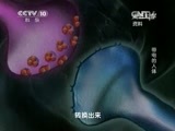 走近科学 《走近科学》 20150610 带电的人体