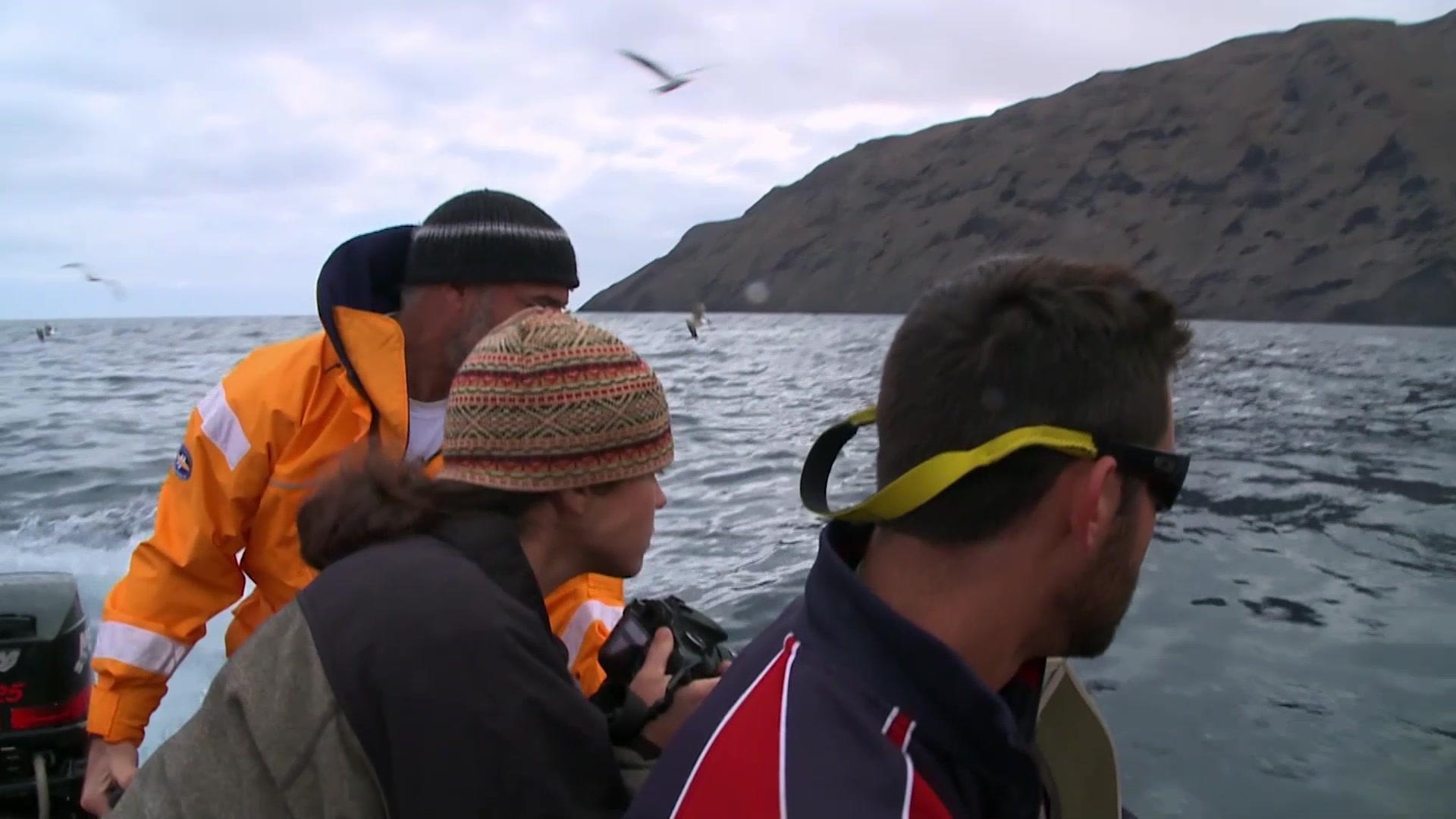 《生灵的远征第一季》第5集