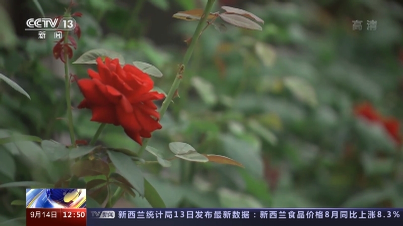 法治在线 《法治在线》 20220914