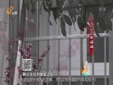 天下父母 《天下父母》 20160814 三胞胎找妈妈