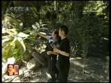 今日亚洲 今日亚洲 2010-01-16
