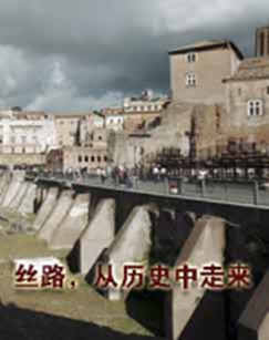 丝路，从历史中走来 海报