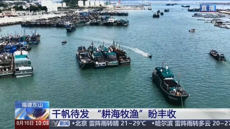 新闻直播间 《新闻直播间》 20260816 10:00
