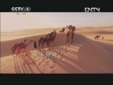 魅力纪录（CCTV-1综合频道） 《冰冻星球》 7 融化中的冰冻星球