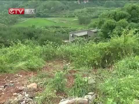 重庆新闻联播 《重庆新闻联播》 20140712
