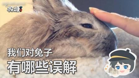 报信儿 新型撩妹神器！别老用猫猫狗狗了！