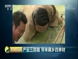 生财有道 《生财有道》 20180228 产业三部曲 带来藕乡四季财