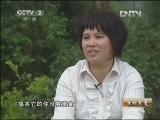 生财有道 [生财有道]杏花鸡带来的绿色财富(20130305)