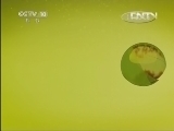 地理中国 《地理中国》 20130503 寻奇天下·海岛寻宝