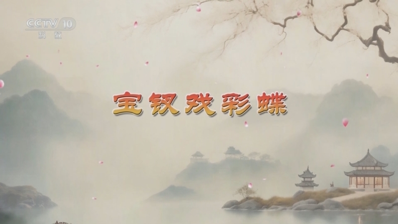 百家讲坛 《百家讲坛》 20251215 红楼名场面（第二部） 3 宝钗戏彩蝶