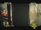 新闻袋袋裤 《新闻袋袋裤》 20130419