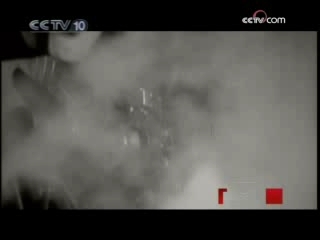 探索发现 潍县集中营（二）这是我的命运