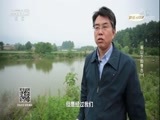 探索发现 《探索发现》 20180525 骊山下的考古（一）