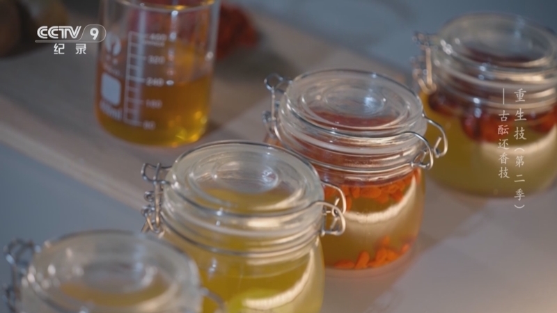 《重生技 第二季》 第6集 古酝还香技