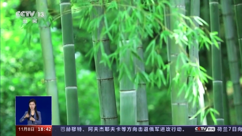 共同关注 《共同关注》 20231108