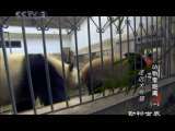 动物世界 动物世界 2010年 第55期