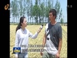 山东新闻联播 《山东新闻联播》 20160615