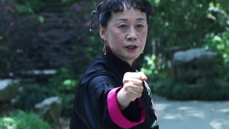 武术套路之甲组规定枪 南拳之套路五讲解