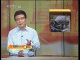 道德观察 道德观察（日播版） 2010年 第246期 儿子的身份之谜（上）