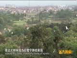 远方的家 《远方的家》江河万里行 第274集 钱塘江 古韵兰溪 在水一方 20150604