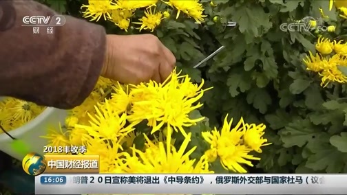 中国财经报道 《中国财经报道》 20181022 16:00
