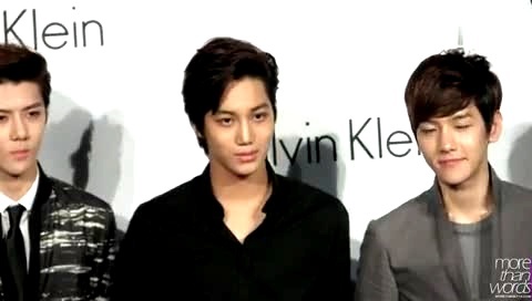 EXO The World of CK 主KAI 饭拍版 12/05/24-EXO-K