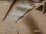 体育在线 《体育在线》 20150709 光影中的功夫传奇