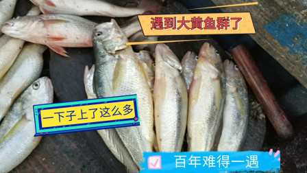 南澳岛赶海日记 彪哥出海捕鱼运气爆棚，捕到价值上万大黄鱼群，卖完后心情很郁闷
