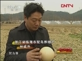 生财有道 《生财有道》 20120213 鸵鸟也疯狂