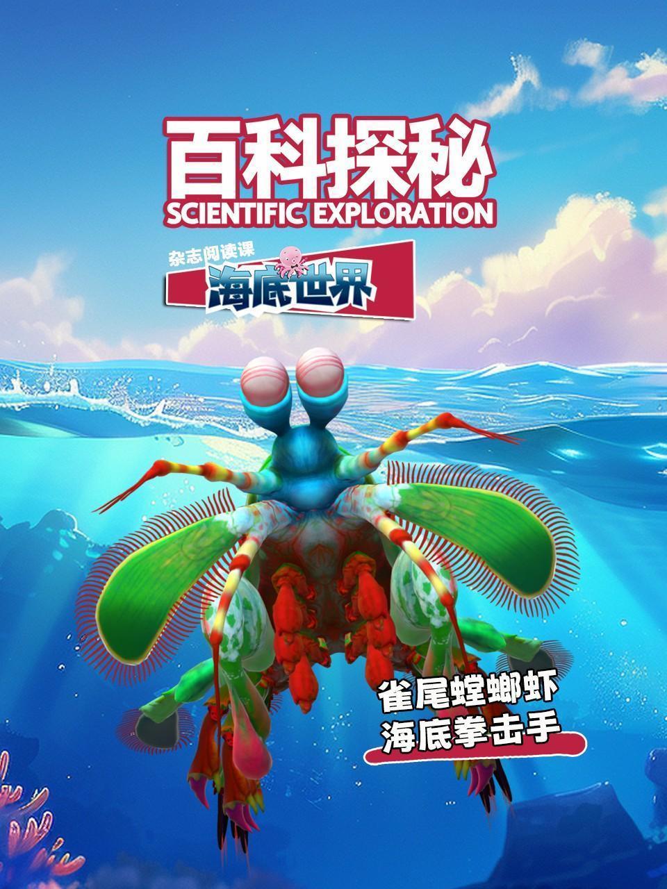 百科探秘海底世界：雀尾螳螂虾，海底拳击手