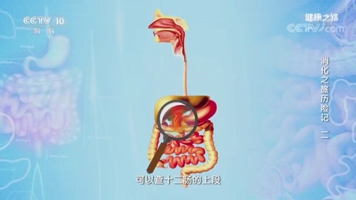 健康之路 《健康之路》 20190504 消化之旅历险记（二）