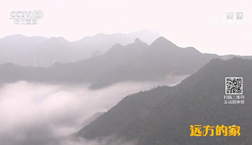 远方的家 《远方的家》 特别节目《大好河山》——三级阶梯看中国（7） 第三阶梯上的别样山川 20190108