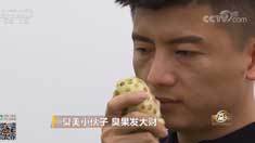 致富经 [致富经]臭美小伙子 臭果发大财 20181114