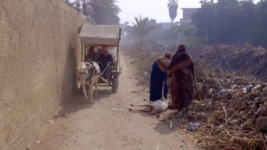 《现代隐士第五季》第7集