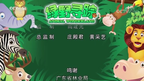绿野寻踪 《绿野寻踪》 20190424