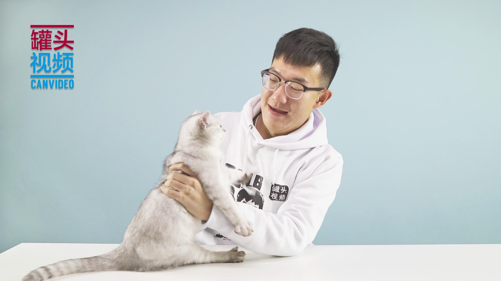 举起爪儿来 四大日常撸猫禁忌【举起爪儿来】