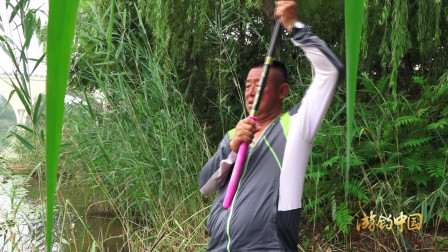 不知道这条鱼有多大, 遛了半天都看不到鱼露出水面