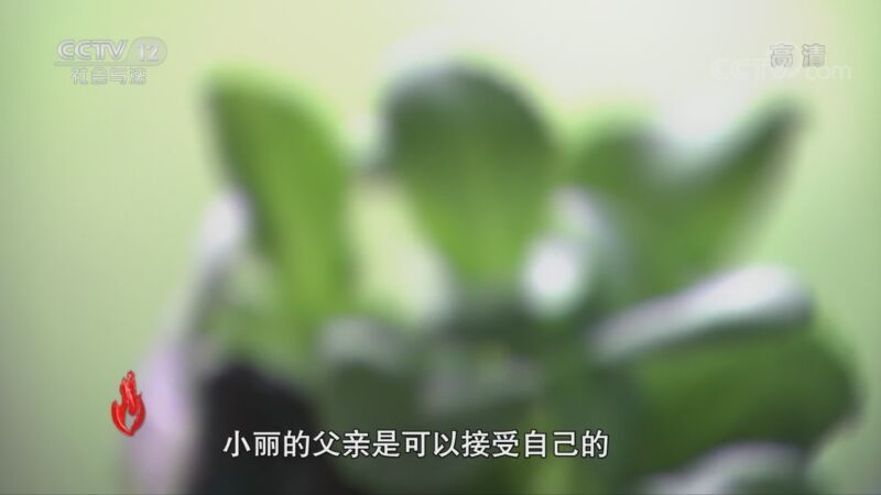 道德观察 《道德观察(日播版)》 20201031 逃不开的前男友