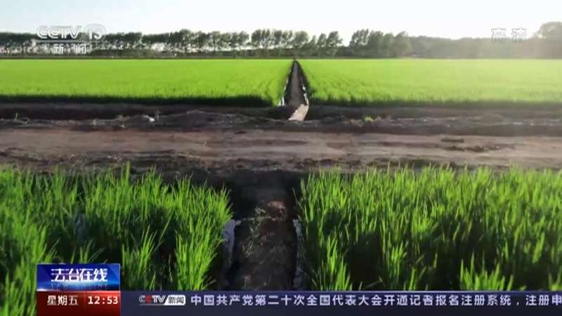 法治在线 《法治在线》 20220902