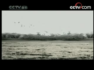 民歌&middot;中国 民歌·中国 2008年 第83期