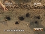 生财有道 《生财有道》 20131025 东北夫妻的温泉梦