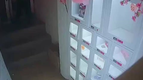 网罗天下 男子半夜溜进成人用品店