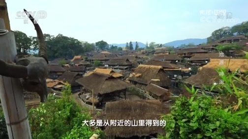 地理中国 《地理中国》 20190502 五一特别节目·沧源“神泥”