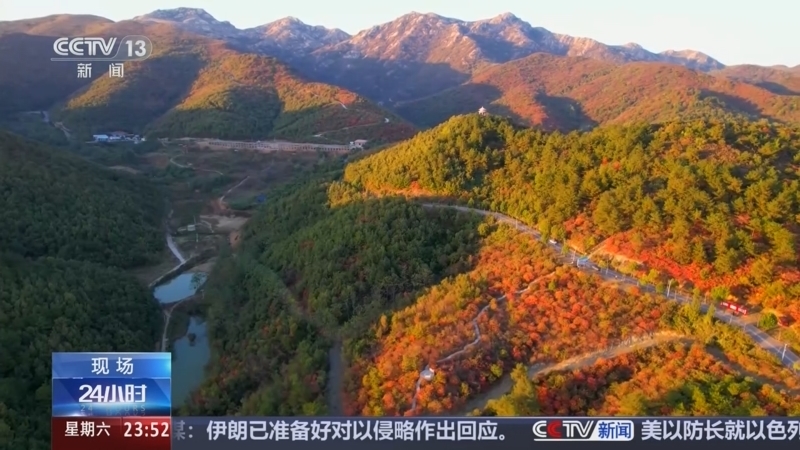 24小时 《24小时》 20241026