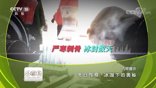 地理中国 《地理中国》 20181231 冬日传奇·冰湖下的奥秘